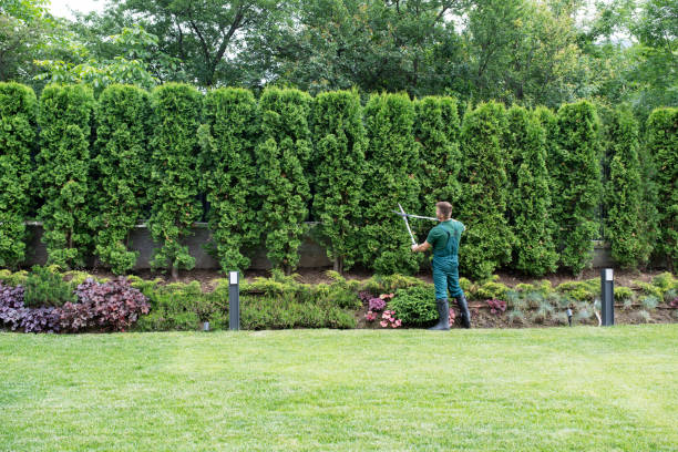 Best Soil Testing and Treatment  in Flower Mound, TX